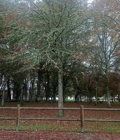 Apartamento Casa Lamelas En La Ribeira Sacra Villasante