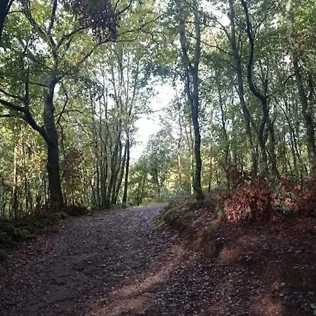 Apartamento Casa Lamelas En La Ribeira Sacra
